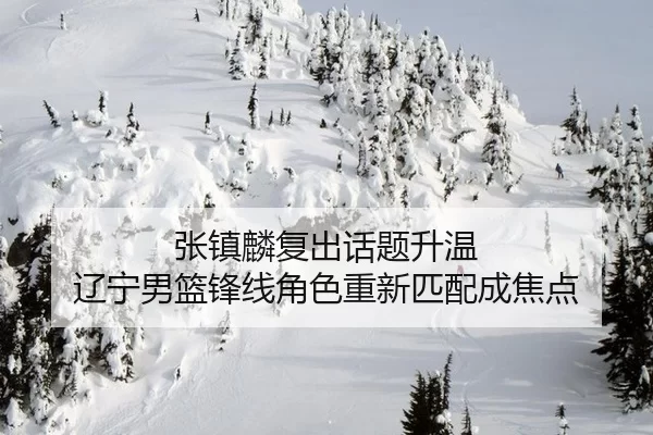 张镇麟复出话题升温 辽宁男篮锋线角色重新匹配成焦点